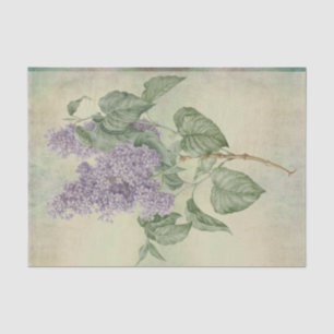 Papier Mousseline Vintage Lilac Syringa Vulgaris, violet botanique