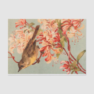 Papier Mousseline Vintage Oiseau rose fleurs florales