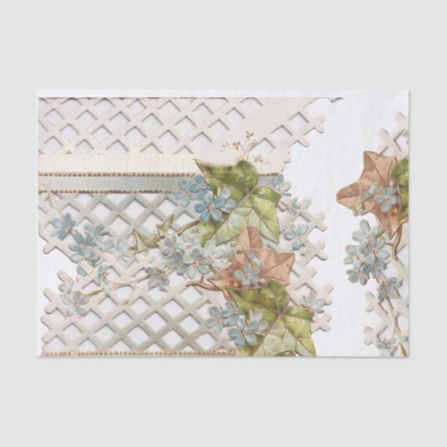 Papier Mousseline Vintage Oublier-Moi-Nots (Recto)