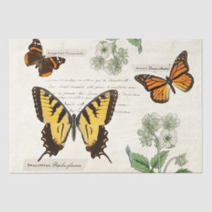Papier Mousseline Vintage papillon Swallowtail Monarch dame peinte