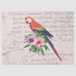Papier Mousseline Vintage Parrot Ara Canga Floral Ephemera Découpage