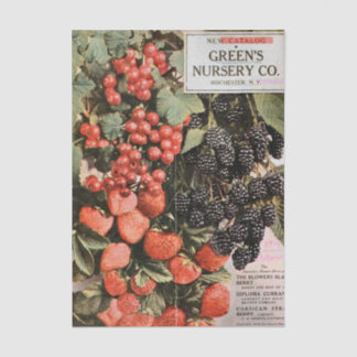 Papier Mousseline Vintage Seed Catalog, 1919, Green's Nursery, Fruit