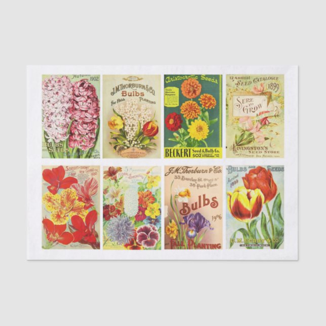 Papier Mousseline Vintage Seed Packet Collection Decoupage Collage (Recto)