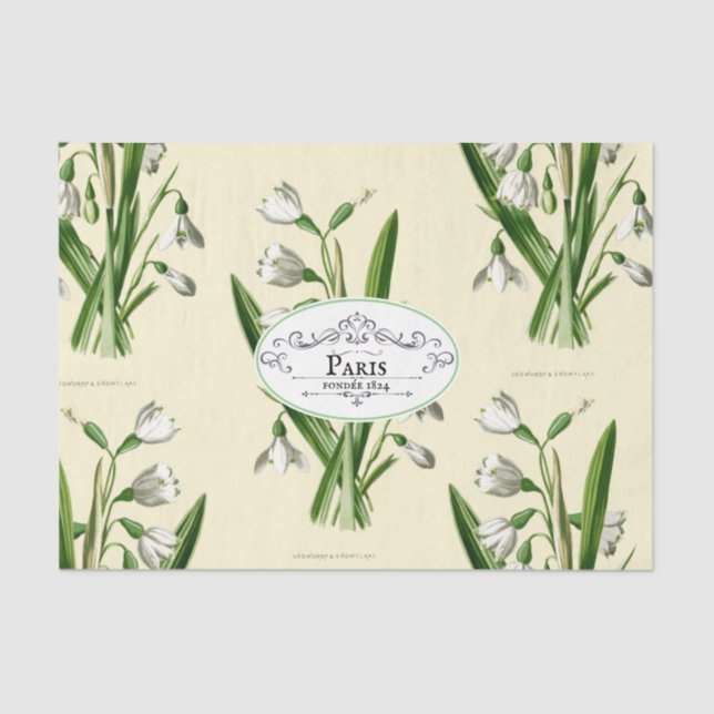 Papier Mousseline Vintage Snowdrop Oval Produit Étiquette Jaune (Recto)