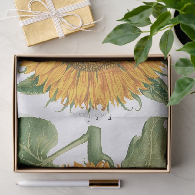 Papier Mousseline Vintage Sunflower Flower by Basilius Besler (Cadeau)