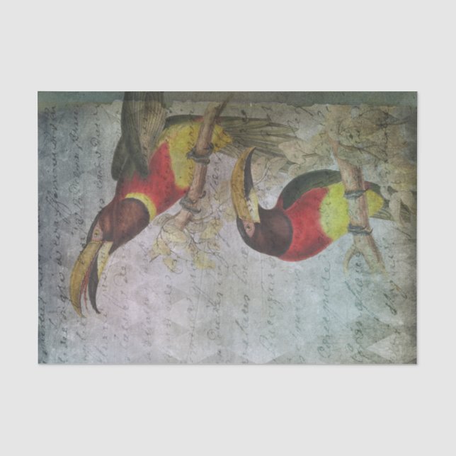 Papier Mousseline Vintage Tropical Toucan (Recto)