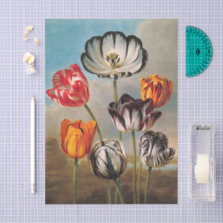 Papier Mousseline Vintage Variegated Tulip Flowers in a Landscape
