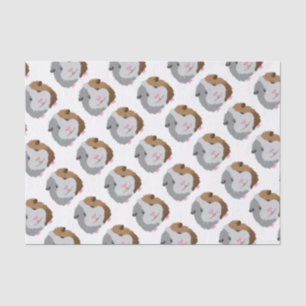Papier Mousseline visage mignon de cobaye