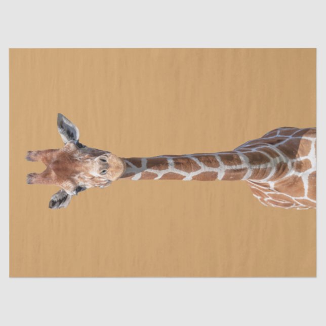Papier Mousseline Visage mignon de girafe (Recto)