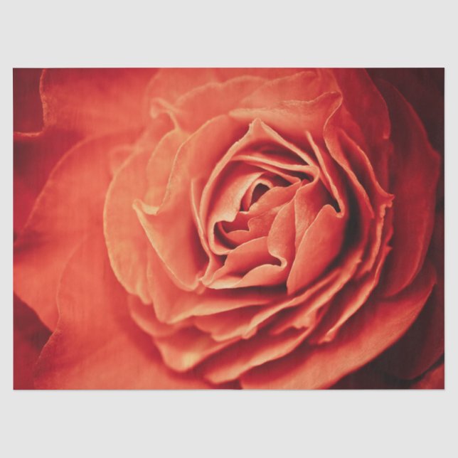 Papier Mousseline vivant rose (Recto)