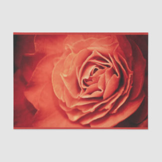 Papier Mousseline vivant rose