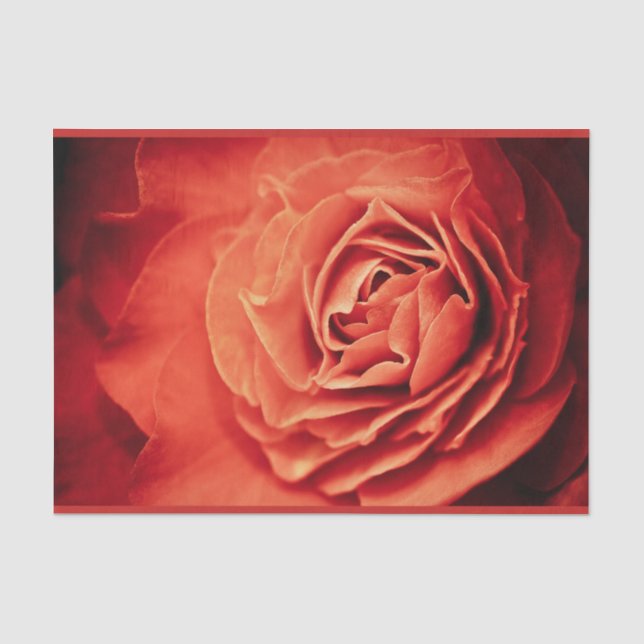 Papier Mousseline vivant rose (Recto)