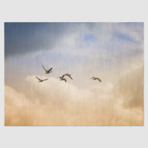 Papier Mousseline Vols d'oiseaux