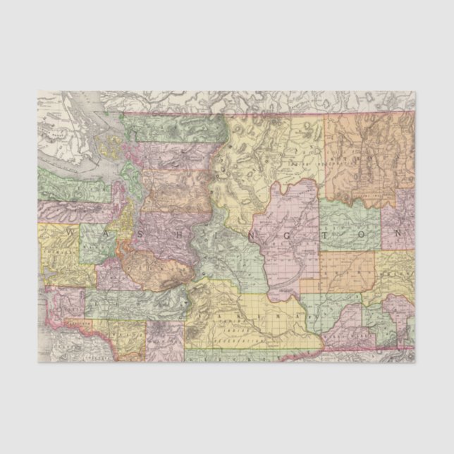 Papier Mousseline Washington 3 (Recto)