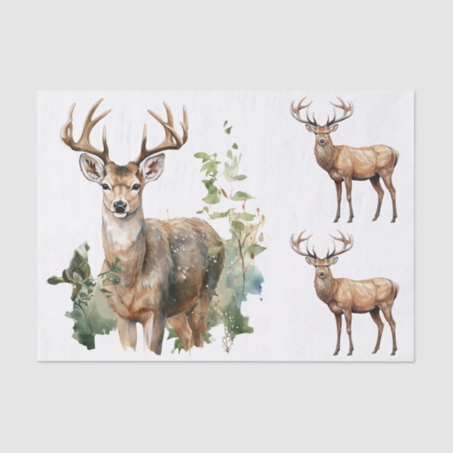 Papier Mousseline Watercolor Style Illustrations - 3 Male Deer Bucks (Recto)