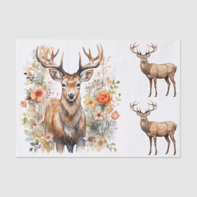 Papier Mousseline Watercolor Style Illustrations of Male Deer Bucks (Recto)