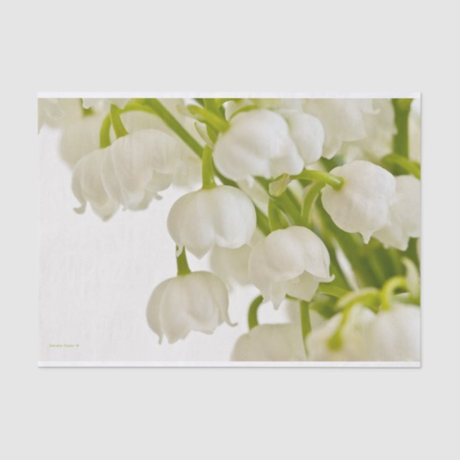 Papier Mousseline White Lilies (Recto)