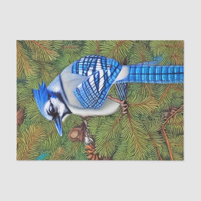 Papier Mousseline Wilderness À feuillage persistant Blue Jay (Recto)