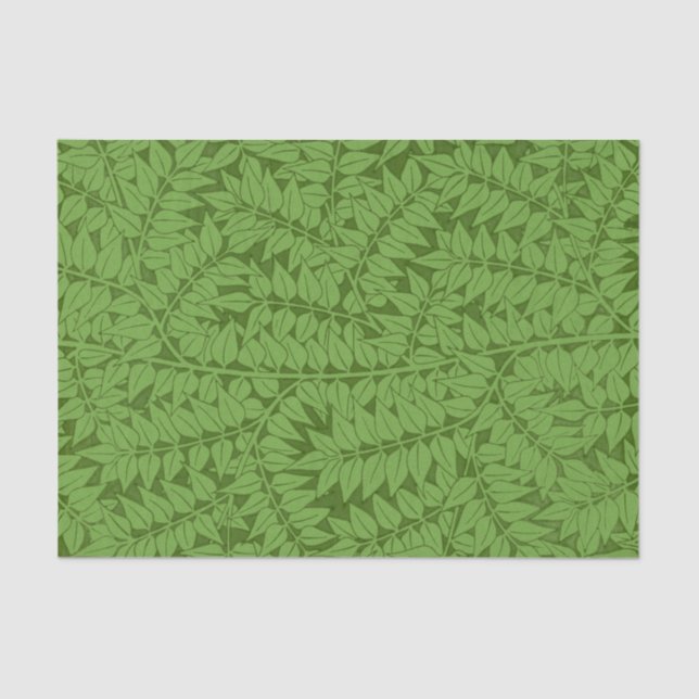 Papier Mousseline William Morris Fern Nature Découpage Livre vert (Recto)
