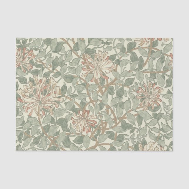 Papier Mousseline William Morris Honeysuckle Vert Floral (Recto)