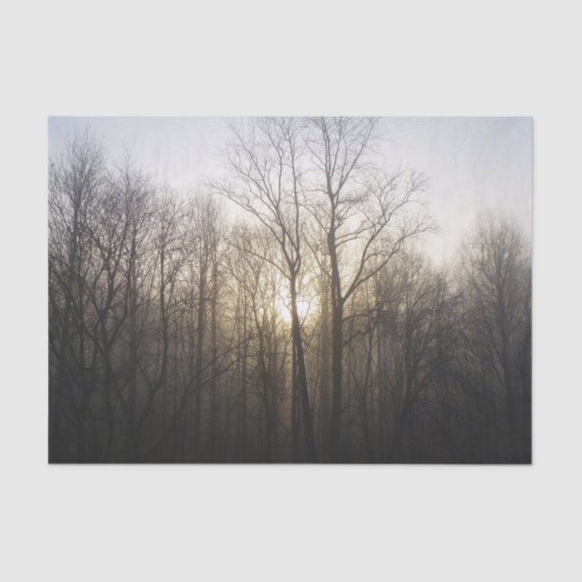 Papier Mousseline Winter Fog Sunrise Nature Photographie (Recto)