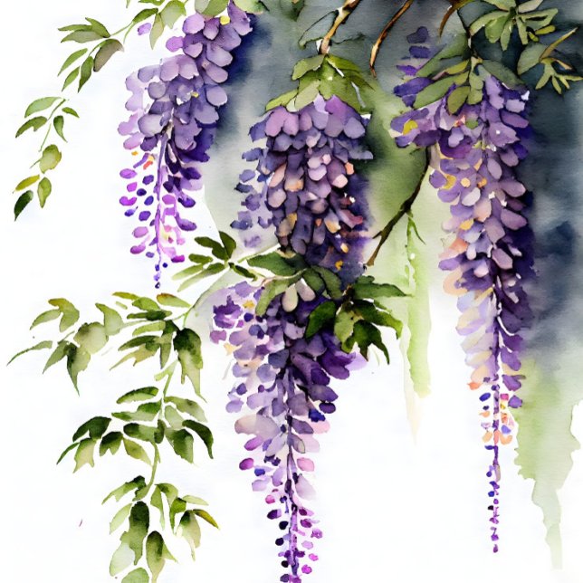 Papier Mousseline Wisteria dans la page de découpage ombragée (Créateur téléchargé)