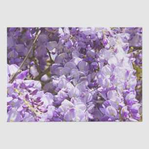 Papier Mousseline Wisteria Violet Floral Blossom Tree Violet