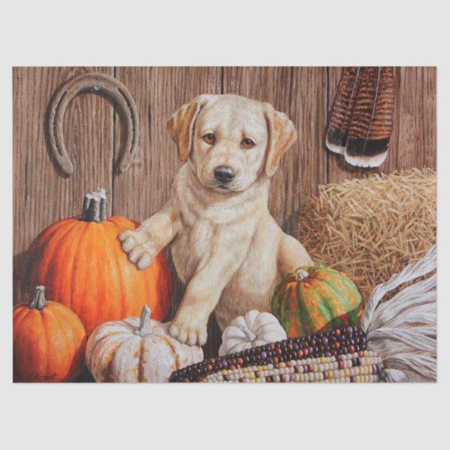 Papier Mousseline Yellow Labrador Retriever Chien Chien Chien Citrou (Recto)