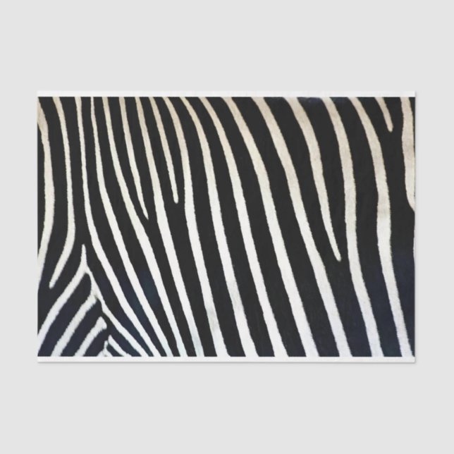 Papier Mousseline Zebra Print Black Fur (Recto)