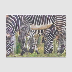 PAPIER MOUSSELINE ZEBRAS
