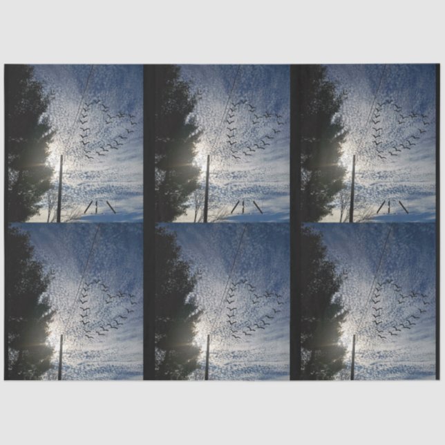 PAPIER MOUSSELINE ZEN (Recto)