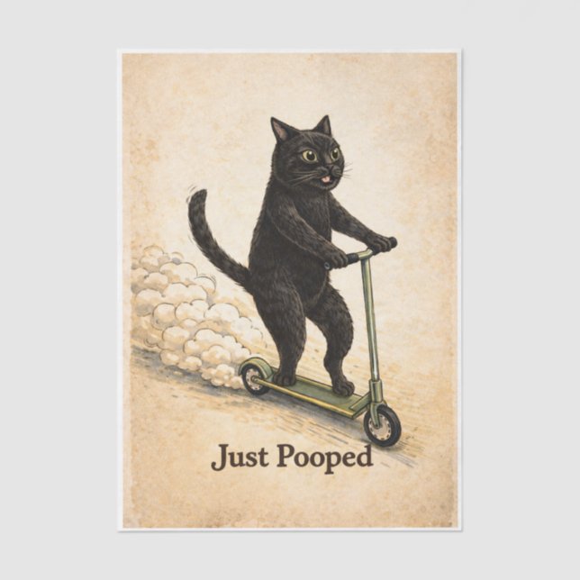 Papier Mousseline Zoomies Kitty  (Recto)