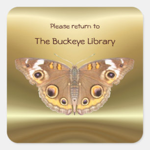 Papier papillon Buckeye Bookplate 2 ~ autocollant