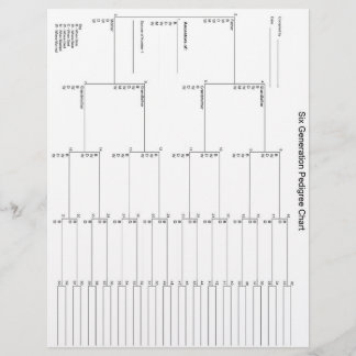 Papier Pedigree de six générations