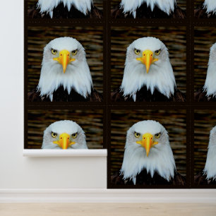 Papier Peint Aigle américain à tête blanche