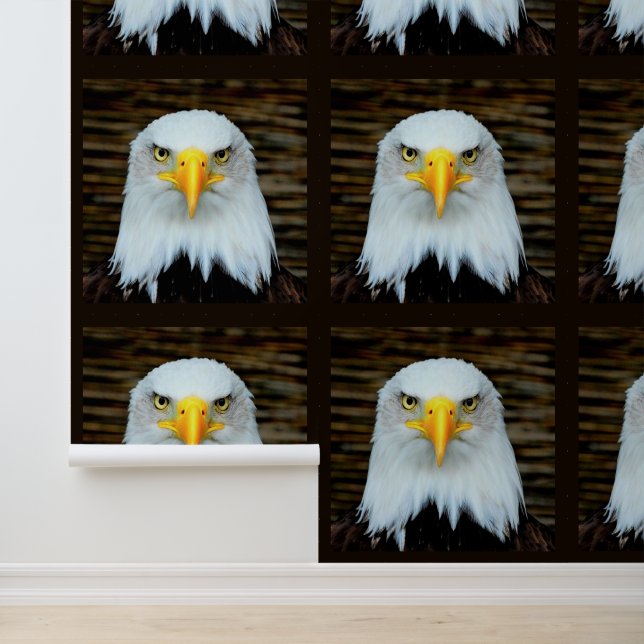 Papier Peint Aigle américain à tête blanche (Application)