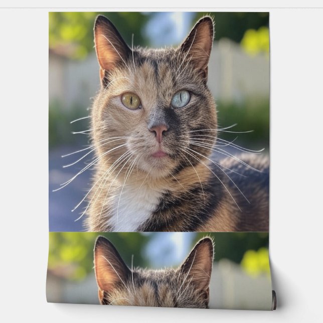 Papier Peint Ajouter une Personnaliser photo de chat (Déroulement)