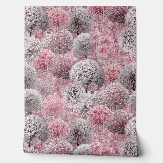 Papier Peint Alliums roses (Déroulement)