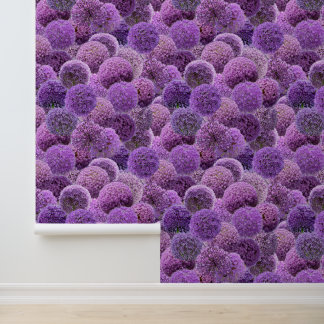 Papier Peint Alliums Violets