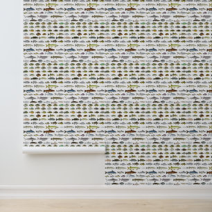 Papier Peint Amérique du Nord Groupe de poissons d'eau douce