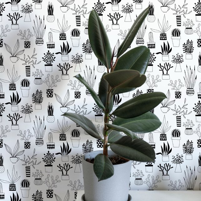Papier Peint Art de cactus succulent en noir et blanc (Cactus cacti succulent house plant black and white art wallpaper)