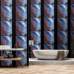 Papier Peint Avril Ciel avec Philippiens 4:4