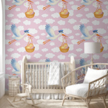 Baby Girl Arrival Nursery Decor