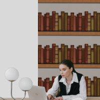Bibliothèques Trompe l'oeil