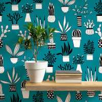 Cactus Succulent Maison Plante Turquoise Green Art