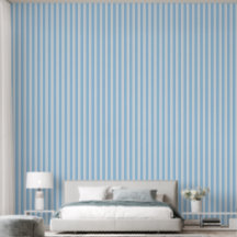 Chambre de garçons minimaliste bicolore bleu à ray