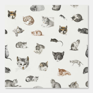 Papier Peint Chats Kittens Mice Chat Lady Chinoiserie Toile