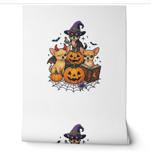 Papier Peint Chiens Chihuahua Halloween Citrouilles Chapeau de 