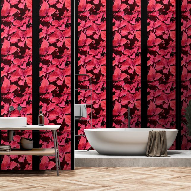 Papier Peint Clôture de Coleus (Salle de bain)