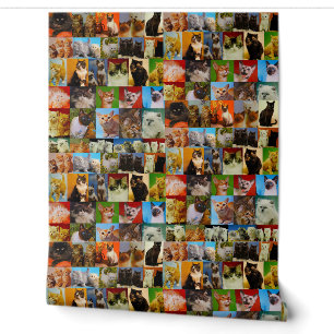 Papier Peint Collage Kitty Vintage